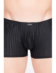 Boxer Wellness 2